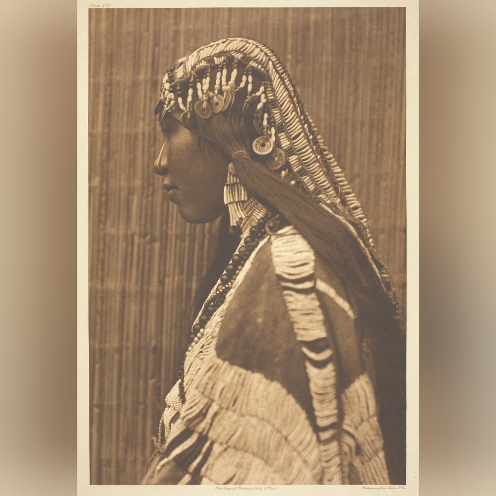Portrait Of Native American Woman Art Print